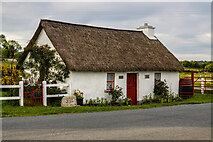 N1891 : Johnny's Cottage, Ballinamuck, Co. Longford (2) by Mike Searle