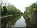 Birmingham & Fazeley canal near Birches Green