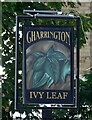 Sign for the Ivy Leaf, Dartford