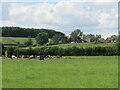 View towards Carleys Farm