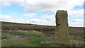 Quarry Stone on Edgerton Moss