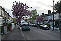 Blossom, Markhouse Avenue