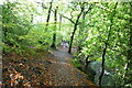 Fairy Glen Walk