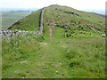 NY7467 : The Pennine Way & Hadrian's Wall Path near Turret 40A by Dave Kelly