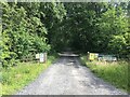 Gravel road to Gartmorn Farm