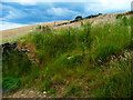 Steep bank to climb on Elland Footpath 73/3