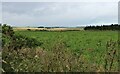 Farmland at Harpsdale