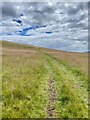 Footpath around Mynydd Llechart