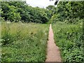 Footpath through a Nature Reserve