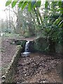 ST1600 : Small Waterfall in Honiton by John P Reeves