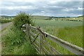 Gate beside the road