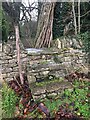 Stone Stile, Cobberley GS2648