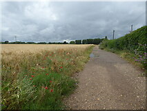 SO9747 : Public footpath to Upper Moor, Worcestershire by Chris Allen