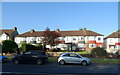 Houses on Rochester Road