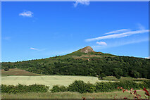 NZ5712 : Roseberry Topping by Chris Heaton