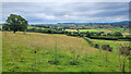 Rolling Monmouthshire countryside