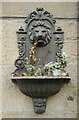 Lion planter