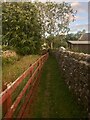 Footpath at the Edge of Bellerby Village