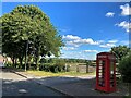 Telephone Box on Hall Lane in Brinsley