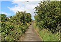 Balbirnie Viaduct Path