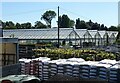 Greenhouses, Newington