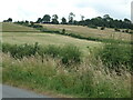 Hillside east of Leadenham