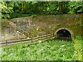 North portal of Harecastle old tunnel