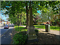 Trow Memorial Obelisk, London Road, Stoke