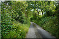 On the old road from Llandre to Borth