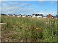 NT2967 : New housing estate at Gilmerton by M J Richardson