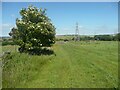 Denholme Footpath 59