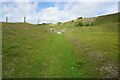 SZ4783 : Path on Chillerton Down by Ian S