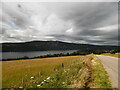 Farmland above Loch Ness