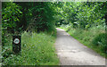 Speed Limit on the Bridleway