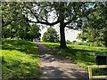 Southeastern edge of Norwood Park