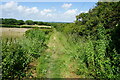 Hamstead Trail towards Wellow