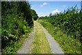 Hamstead Trail towards Wellow