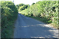 Lane towards Cashmoor