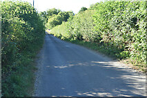 ST9713 : Lane towards Cashmoor by David Martin