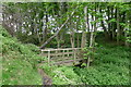 Footbridge, Harperley Dean