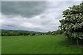 The Weardale Way north of Witton-le-Wear