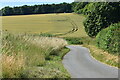 Bends in lane east of Holly Grove Coppice