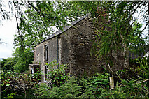 H4781 : Ruined farmhouse, Cullion by Kenneth  Allen