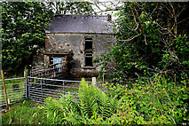 H4781 : Ruined farmhouse, Cullion by Kenneth  Allen