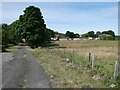 NZ1553 : Fondly Set Farm, Dipton by Oliver Dixon