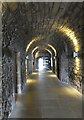 NS7994 : Stirling - Castle - Vaults beneath the palace by Rob Farrow