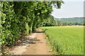 Field edge footpath