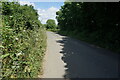 Dodpits Lane towards the B3401