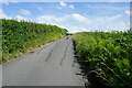 Quarry Lane towards Five Houses Lane