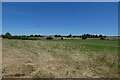 Farmland above the Wiske